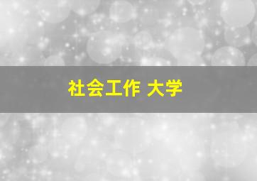 社会工作 大学